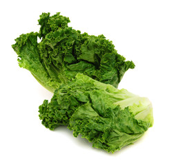 Bunch of fresh green salad isolated over white