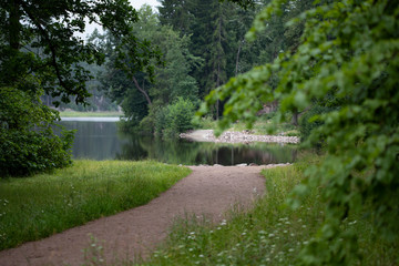 Fototapeta na wymiar Forest path leading to the lake