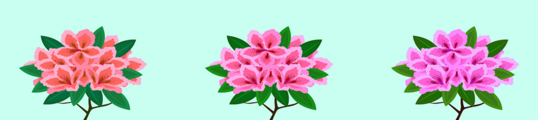 set of azalea flowers cartoon icon design template with various models. vector illustration