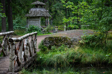 Naklejka premium White birch bridge on the bank of a dark pond