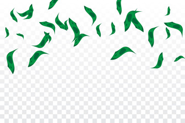 Many Falling Money On Transparent Background. Vector