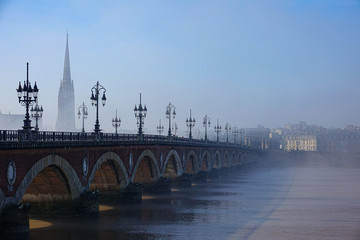 Fototapeta premium Beautiful Bordeaux