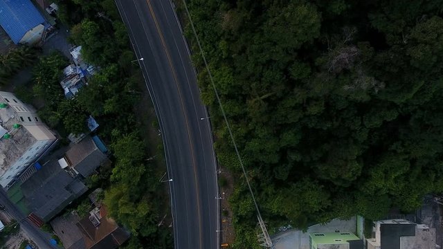 Aerial view of road in forest