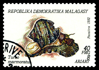 Postage stamp.  Marble turbo.