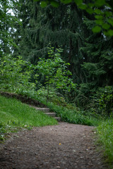 Young fruit trees in the topiary garden