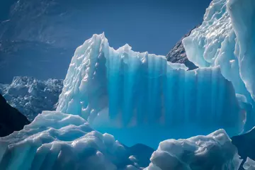  Beautiful blue icebergs calved from glaciers in Alaska, USA. © Kirk Hewlett