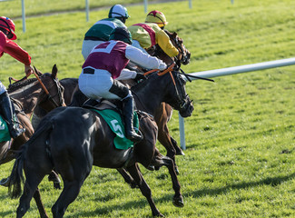 Close up on race horses and jockeys competing for position in the final furlong of the race