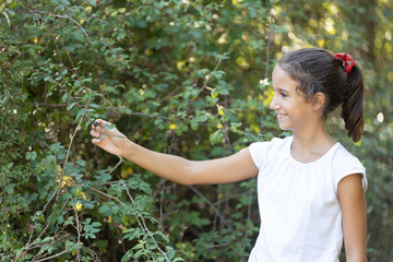 A girl picking a blackberrry