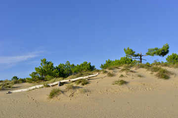 Dune et ciel bleu à la Palmyre (17570 Les Mathes), Charente-Maritime en Nouvelle-Aquitaine, France