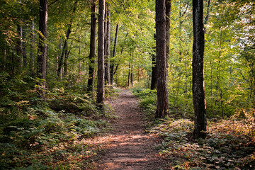 Obraz premium A day in the park