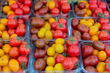 red and yellow tomatoes