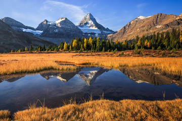 Golden Light of Assiniboine