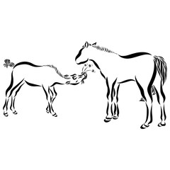 foal gives his mother a bouquet of flowers