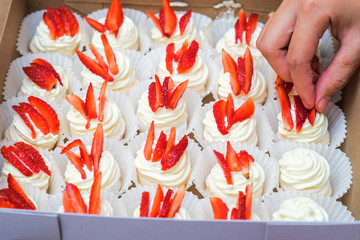 Fototapete bei efototapeten.de bestellen   