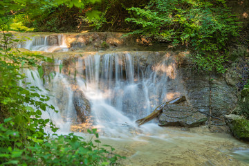Obraz premium Idylle im Wald in der Natur mit Wasser