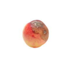 Fototapeta premium Moldy peach isolated on white background.Ugly spoiled fruit