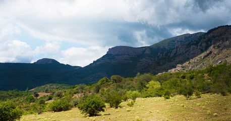  Mountain landscape panorama. Picturesque area. Trees at the foot of the mountains. Copy space for text.