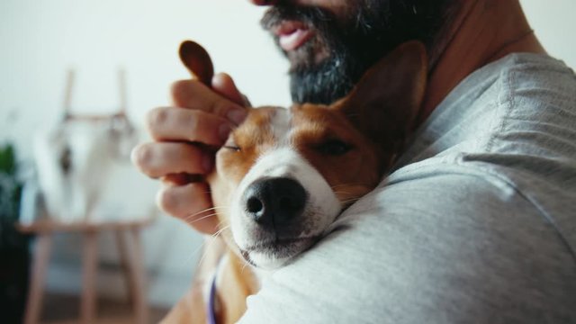 Close up shot of young bearded man hugging and kissing his cute friend brown basenji pure breed dog. Animals and human friendship.