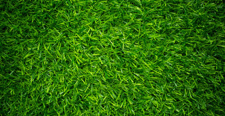 Green grass background, football field

