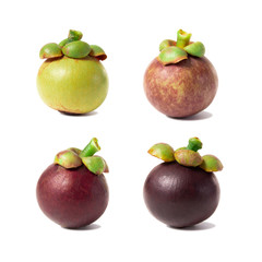 Mangosteen isolated on white background.
