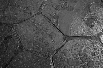 Water droplets on the floor, wet background

