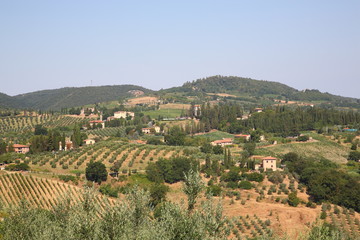 Fototapeta na wymiar View of vineyards and wine countryside landscape with horses in San Gimignano, Siena province, Tuscany, Italy