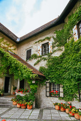 Fototapeta na wymiar Famous Bled Castle in Slovenia