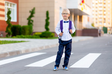 a schoolboy boy with blond glasses and a backpack is standing at the school. Day of knowledge