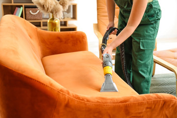 Dry cleaner's employee removing dirt from sofa in house