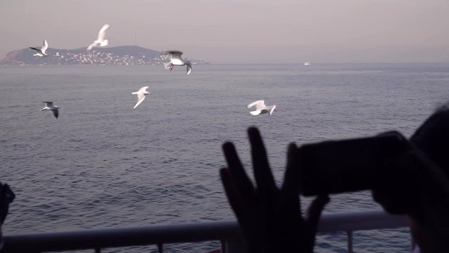A hand is taking photo or video with phone and flying seagulls and one of The Princes Islands are visible at the background in slow motion.
