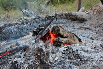 smouldering hot embers of a fire in a tree for tourists in nature