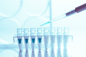  PCR Tube Strips Well  and Pipette in genetic research laboratory close up