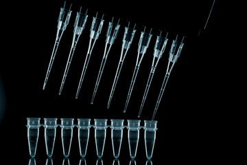  PCR Tube Strips Well  and Pipette in genetic research laboratory close up