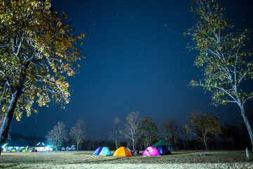 camping at night