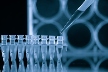  PCR Tube Strips Well  and Pipette in genetic research laboratory close up - obrazy, fototapety, plakaty