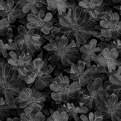 Watercolor wild cosmos flowers seamless pattern. Dark balck and white hand painted raster texture.