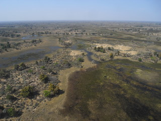 Okavango Delta view from the sky