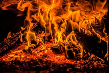Fototapeta na wymiar A few birch logs burning in the fireplace 