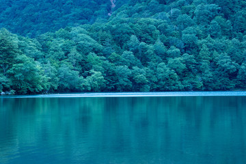 湖と森の風景
