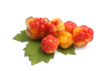 Fresh cloudberries with green leaf