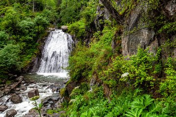 A large waterfall in the depths of Altai Mountains with gray-brown stones at a steep cliff amid lush green trees and grass. Bird's eye view of Korbu waterfall.