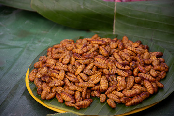.Silk chrysalis are fried into dark yellow food, placed on a plate with green banana leaves.