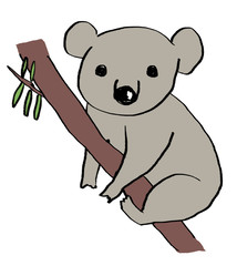 ユーカリに登るコアラ