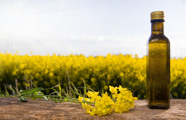Rapeseed oil (canola) on background field and sky.