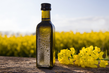 Rapeseed oil bottle of an agronomist or biologist on background rape field.