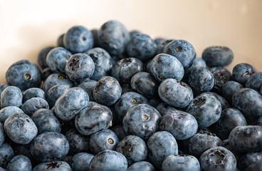 frische Blaubeeren