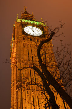 foto noturna do Big Ben com a silhueta de uma &acute;&acute;arvore nna frente