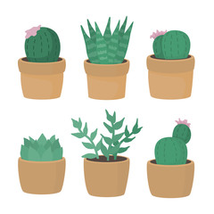 Set van verschillende cactussen in pot geïsoleerd op een witte achtergrond.