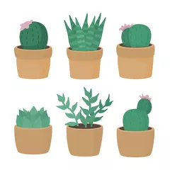 Rolgordijnen Cactus in pot Set van verschillende cactussen in pot geïsoleerd op een witte achtergrond.