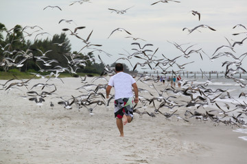 homem correndo na praia em direção aos pássaros que levantam voo